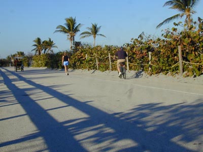 Pedestrian ...Bike Path
