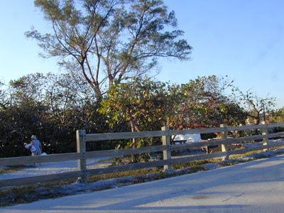 Picnic Area , Yards away from Hollywood Beach
